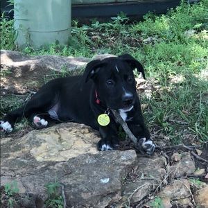 Meet your Posher, Taylor